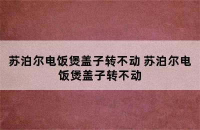 苏泊尔电饭煲盖子转不动 苏泊尔电饭煲盖子转不动